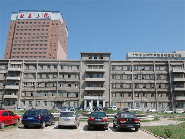 北京包成功多少钱 响北京大学第三医院试管婴儿成功率的5个因素 ‘看孕囊测男
