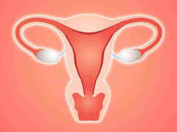 广州供卵试管生男孩 2023广州供卵试管婴儿明细 ‘什么时候看孕囊的形状看男女