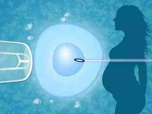 上海助孕有哪些方法 上海东方医院生殖中心和上海九院哪个好_ ‘孕7周孕囊3